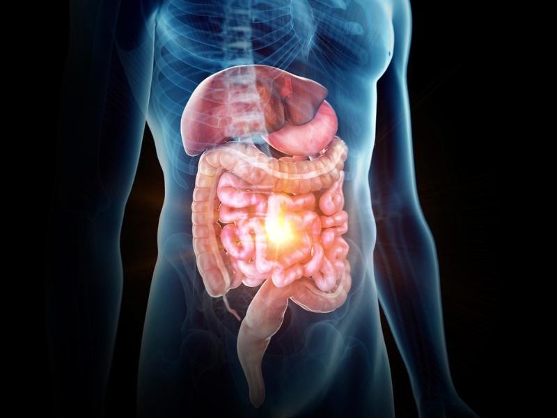 Cirurgia Herniorrafias Robótica